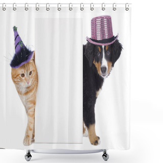 Personality  Cat And Dog With Funny Hats Shower Curtains