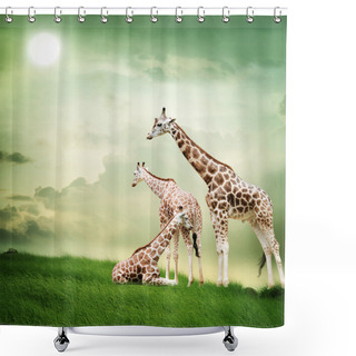 Personality  Giraffe Family Shower Curtains