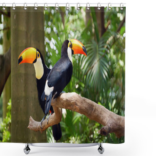 Personality  Toucan Shower Curtains
