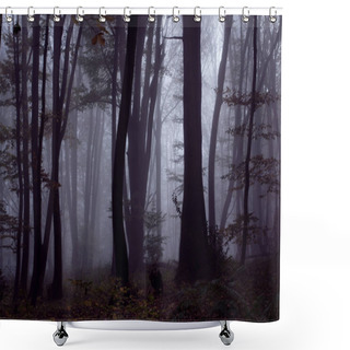 Personality  Foggy Spooky Forest Dark Landscape In Autumn Colors Nature Fall Abstract Shower Curtains