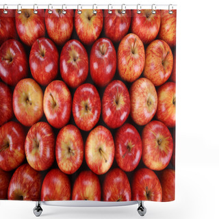 Personality  Fresh Red Apples Shower Curtains