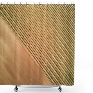 Personality  Texture Shower Curtains