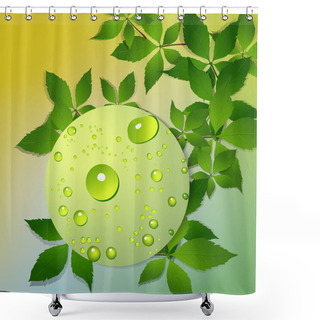 Personality  Wild Grape Vector Texture Shower Curtains