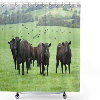 Personality  Farm Cattle Shower Curtains
