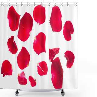 Personality  Red Rose Petals Shower Curtains
