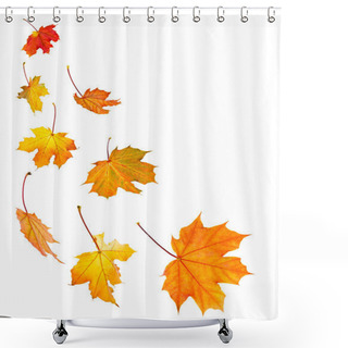 Personality  Fall Maple Leaves Background Shower Curtains
