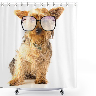 Personality  Yorkshire With Glasses Shower Curtains