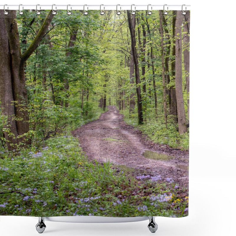 Personality  Path Through The Woods After A Spring Rain Shower Curtains