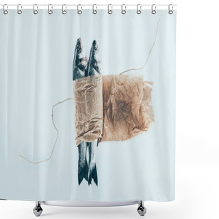 Personality  Close-up View Of Delicious Healthy Fish In Paper With Rope Isolated On Grey Shower Curtains