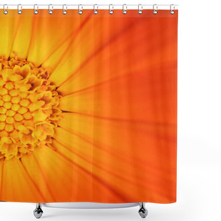 Personality  Beautiful Orange Flower  View  Shower Curtains