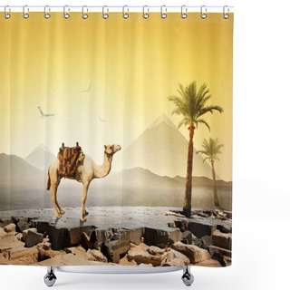 Personality  Camel And Birds Shower Curtains