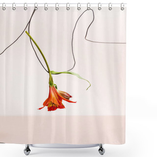 Personality  Floral Composition With Red Alstroemeria On Wire Isolated On Beige Shower Curtains