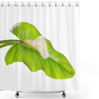 Personality  White Calla Lilies With Leaf Shower Curtains