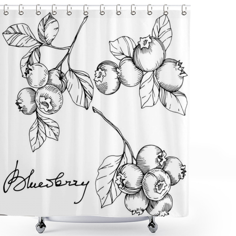 Personality  Vector Blueberry Black And White Engraved Ink Art. Berries And Leaves. Isolated Blueberry Illustration Element. Shower Curtains