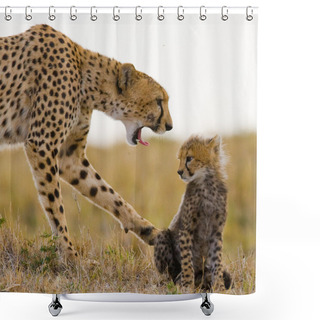 Personality  Mother Cheetah With Her Cub Shower Curtains