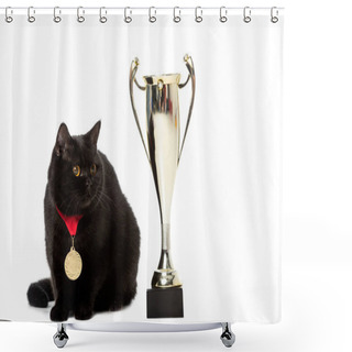 Personality  Black British Shorthair Cat With Winner Medal Sitting Near Golden Trophy Cup Isolated On White Background  Shower Curtains