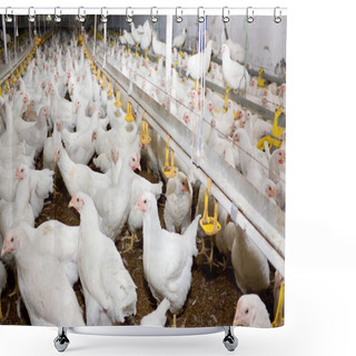 Personality  Chickens. Poultry Farm Shower Curtains