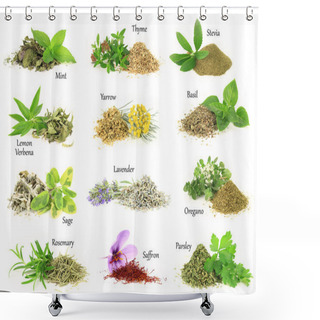 Personality  Collection Of Fresh And Dry Aromatic Herbs Shower Curtains