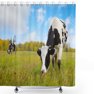 Personality  Herd Shower Curtains