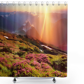 Personality  Rhododendrons Blooming In Carpathians Shower Curtains