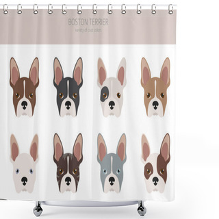 Personality  Boston Terrier Clipart. Different Coat Colors Set.  Vector Illustration Shower Curtains