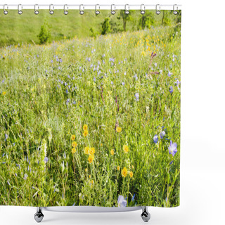 Personality  Meadow With Flowers Shower Curtains