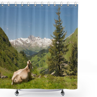 Personality  Resting Cow In Alpine Landscape Shower Curtains