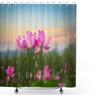 Personality  Lotus Flower In Sunset Shower Curtains