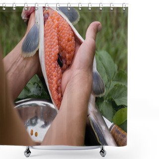 Personality  Cutting Up Fresh-caught Salmon Shower Curtains