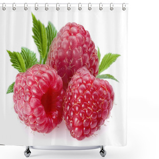 Personality  Raspberries Shower Curtains