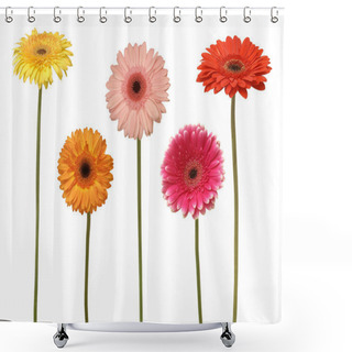 Personality  Five Flowers Shower Curtains