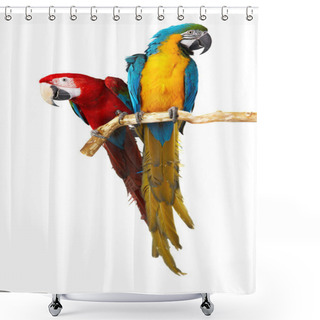 Personality  Two Parrots Shower Curtains