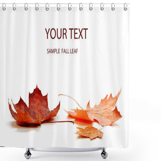 Personality  Autumn Leaves Shower Curtains