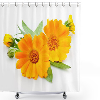 Personality  Calendula. Flowers With Leaves Isolated On White Shower Curtains