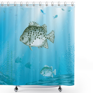 Personality  Tropical Sea Shower Curtains