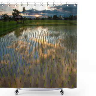 Personality  Rice Field Shower Curtains