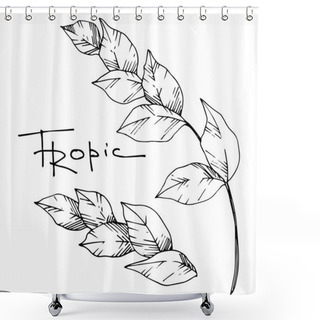 Personality  Vector Palm Beach Tree Leaves Jungle Botanical. Black And White Engraved Ink Art. Isolated Leaf Illustration Element. Shower Curtains