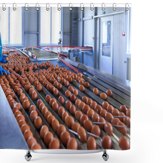 Personality  Factory Chicken Egg Production. Workers Sort Chicken Eggs On Con Shower Curtains