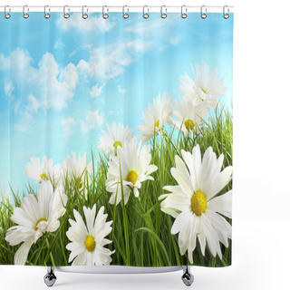 Personality  White Summer Daisies In Tall Grass Shower Curtains
