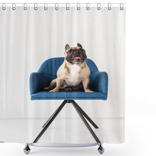 Personality  French Bulldog Sitting On Chair  Shower Curtains