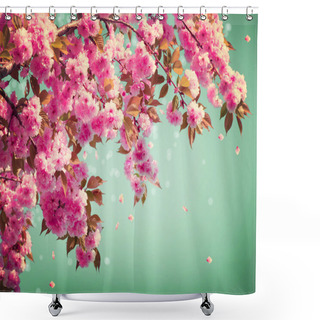 Personality  Sakura Flowers Background Art Design. Spring Sacura Blossom Shower Curtains