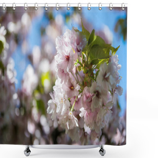 Personality  Selective Focus Of Flowers On Branches Of Cherry Blossom Tree  Shower Curtains