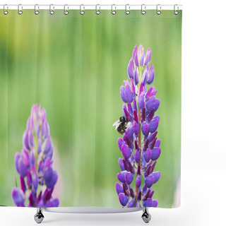 Personality  Bee Collecting Nectar From Lupine Flower Shower Curtains