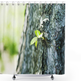 Personality  Young Green Leaves On Tree Trunk Shower Curtains