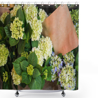 Personality  Close Up View Of Hortensia Flowers With Green Leaves  Shower Curtains