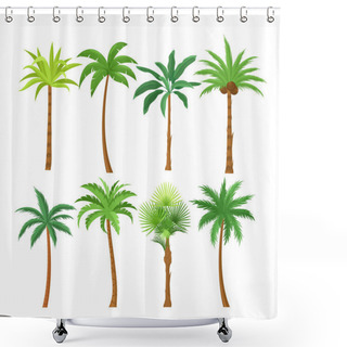 Personality  Palm Trees Flat Vector Illustrations Set. Exotic Beach Plants Isolated Design Elements Pack. Green Leaves Branches And Trunks Cartoon Collection On White Background. Tropical Coconut Palms. Shower Curtains