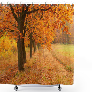 Personality  Autumn Day In The Park Shower Curtains