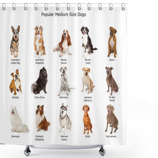 Personality  Collection Of Popular Medium Size Dogs Shower Curtains