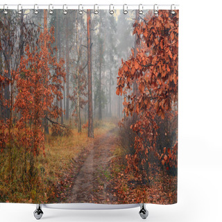 Personality  Forest. Autumn. The Fog Descended And Made The Outlines Of The Trees Ghostly And Mysterious. A Pleasant Walk In The Forest, Dressed In An Autumn Outfit. Shower Curtains