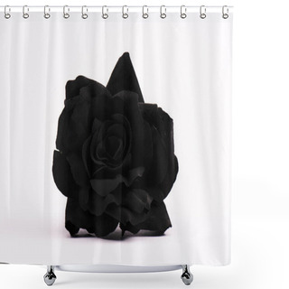 Personality  Black And Blossoming Rose On White With Copy Space Shower Curtains